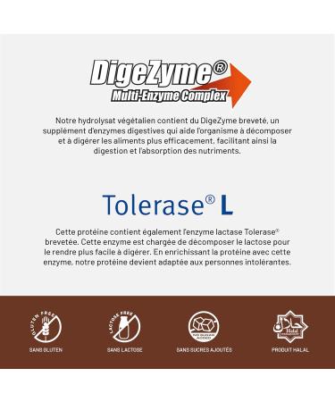 Beverly ZERO DELICATESSE | 1kg | 85% Hydrolyzed Whey Protein | With Digezyme and Tolerase | Muscle Mass and Strength | Free Blender (CHOCOLATE ORANGE) - Buy Online on GoSupps.com