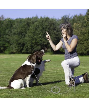 Dog Stake and Tie Out Cable Heavy Duty Stainless Steel Spiral Ground Spike Stake 2 PCS Outdoor Dog Camping Tie Out Lead Leash with & Whistle for Dog Playing Camping and Backyard in Ground - Buy Online on GoSupps.com