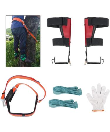 Tree Climbing Equipment - Safety Belts Stainless Steel Spikes & Tools for Camping & Harvesting - Buy Online on GoSupps.com
