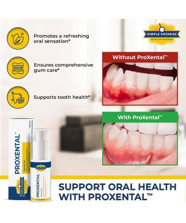 ProXental Dental Gel - Xylitol & Aloe Vera Oral Gum Care | Sensitive Teeth Fresh Breath & Enamel Support - 30ml Travel Size - Buy Online on GoSupps.com