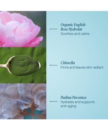 ELEMIS Pro-Collagen Rose Marine Cream - Buy Online on GoSupps.com