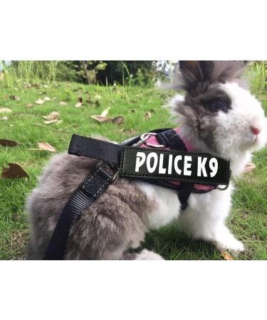 Vehomy Pink Rabbit Harness & Leash for Rabbits Cats & Small Animals - Ideal for International Shipping - Buy Online on GoSupps.com