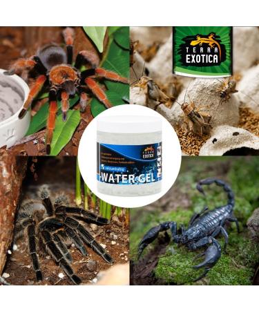 Terra Exotica Water Gel 250ml & 1000ml - Secure Water Supply for Insects Spiders & Scorpions - Buy Online on GoSupps.com
