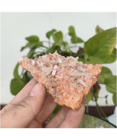 Natural Crystal Rough Rare Natural Raw India Zeolite Cluster Irregular Rough Stone Crystal Rock Ornaments Specimen Reiki Decor PEIQIYIN (Size : 45-50g) - Buy Online on GoSupps.com