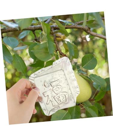 SUPVOX 2pcs Square Apple Molds Mushroom Plastic Fruit Square Shaping Square Model - Buy Online on GoSupps.com