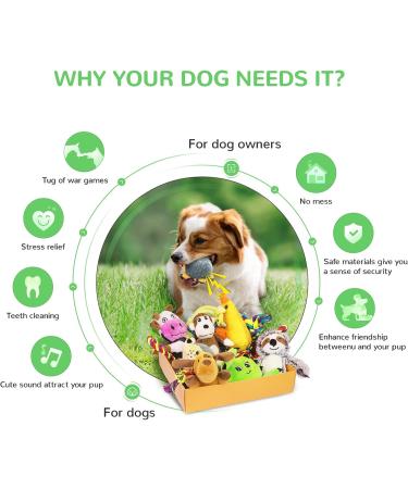 12 Piece Cute Plush Squeak Dog Toys Set | Natural Cotton Puppy Rope & Chicken Tools for Pets | Perfect for Dogs & Puppies - International Shipping - Buy Online on GoSupps.com