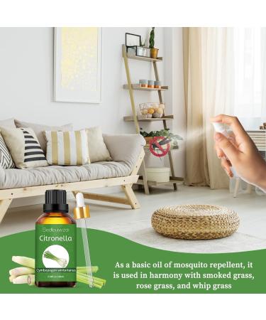 Citronella Essential Oil 100Ml Premium Therapeutic Grade Citronella Oil 100% Pure and Natural Scented Oil for Skin Hair Diffuser Aromatherapy Massage Candle Making SE-Citronella 100ML - Buy Online on GoSupps.com
