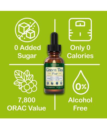 Green Tea Extract Supplement - Healthy Metabolism Boost & Natural Energy | Decaf, Immune Support & Antioxidants - 2oz - Buy Online on GoSupps.com