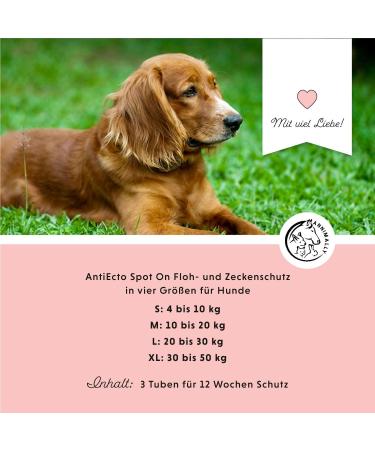 Annimally Flea and Tick Protection Spot On for Dogs - Effective Long-Lasting Tick Remedies for Small Dogs (4-10kg) - 3-Month Flea and Tick Defense - Buy Online on GoSupps.com