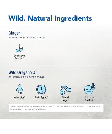 NORTH AMERICAN HERB & SPICE Gastronex - 90 Capsules - Ginger & Wild Spice Concentrate - Supports Healthy Digestive Response - Non-GMO - 45 Servings - Buy Online on GoSupps.com