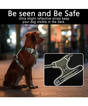 Premium Heele Dog Crockery & Adjustable Harness for Large Dogs - Front & Back Clips Neck Release - Buy Online on GoSupps.com