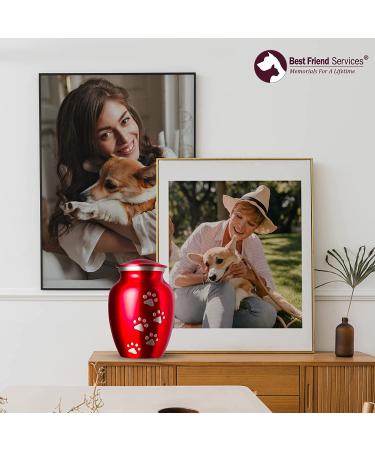 Best Friend Services Ottillie Paws Legacy Pet Urn - Large Ruby Red Brass Cremation Urn for Dogs & Cats Ashes - Hand Carved Memorial Keepsake with Vertical Pewter Paws - Buy Online on GoSupps.com