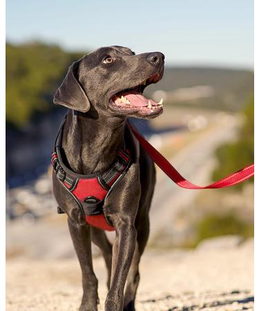 Joytale No Pull Dog Harness Reflective Pet Vest with Front Clip Adjustable Soft Breathable Harnesses with Easy Control Handle for Medium Dogs Training and Walking Red M M (Pack of 1) Red - Buy Online on GoSupps.com