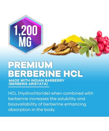 Berberine HCL Supplement 1200mg - High Absorption HCL Extra Strength Berberine Supplement for Advanced Heart Health & Daily Immune Support Sugar Free Vegan Bottled in USA - 60 Veggie Capsules 60 Count (Pack of 1) - Buy Online on GoSupps.com