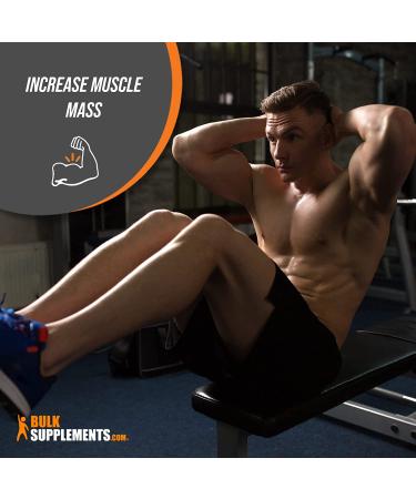 Whey Protein Isolate 90% Powder - Unflavored ISO Protein Supplement - 500g (1.1 lbs) - BulkSupplements - Buy Online on GoSupps.com