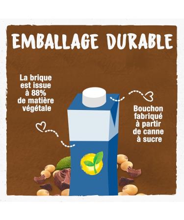 BJORG - Mini Organic Chocolate Soy Drink - 100% vegetable - Low in Staurated Fats - 3 x 25 cl - set of 2 (total of 1.5 L) - Buy Online on GoSupps.com