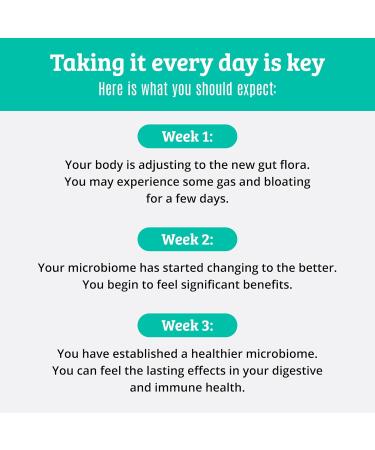 Dr. Matthew Prebiotics and Probiotics - Kiwi - 30 Caps - Buy Online on GoSupps.com