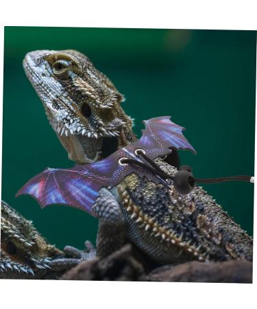POPETPOP 1 Set Lizard Leash Blue Vest Amphibia Gecko Vest Harness Lizard Leash and Harness Reptile Harness Outdoor Reptiles Strap Outdoor Lizard Strap Animal Purple 17X7X0.1CM Purple - Buy Online on GoSupps.com