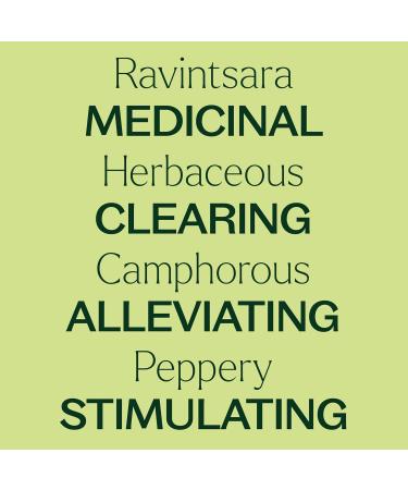 Plant Therapy Ravintsara Essential Oil 10 mL (1/3 oz) 100% Pure Undiluted Stimulating Aromatherapy for Respiratory Support and Joint Ache Relief 0.33 Fl Oz (Pack of 1) - Buy Online on GoSupps.com