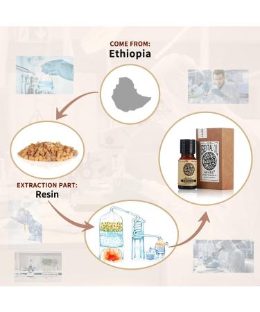 Incaeneal Oil Akarz | Natural Organic Premium Etheric Incense Oil for Skin Hair Diffuser & DIY - 10ml - Buy Online on GoSupps.com