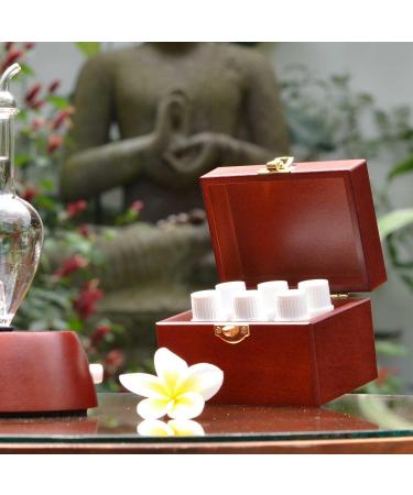 Favorites Sampler Wooden Box - 6 100% Pure Essential Oils for Aromatherapy | Therapeutic Grade | International Shipping - Buy Online on GoSupps.com