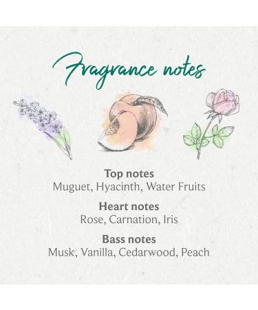 Stimulating Antibacterial Vegan Handwash - Moss & Adams Mullion Cove Ocean Spray 500ml - Buy Online on GoSupps.com