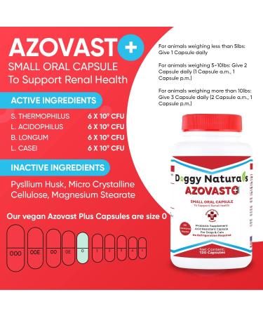 Azovast Plus Kidney Health Supplement for Dogs & Cats - Supports Kidney Function & Manages Renal Toxins - 120 Capsules - Made in USA - Buy Online on GoSupps.com
