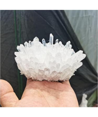 Natural Crystals Clear Quartz Cluster Freeform Reiki Stones Room Home Office Aquarium Decoration Accessories Gemstone ningxiao (Size : 500-600g) - Buy Online on GoSupps.com