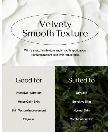 Nature Republic HERBOLOGY Artemisia Extra Soothing Cream - Cruelty-Free Moisturizer for Sensitive Skin - International Shipping Available - Buy Online on GoSupps.com