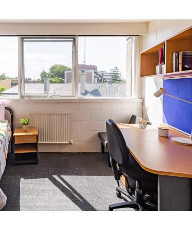 Xintangxia 100 Rattan Reed Diffuser Sticks - Aromatherapy Fragrance Rods for Home & Room Scent - 4mm Aroma Diffuser Sticks - Buy Online on GoSupps.com