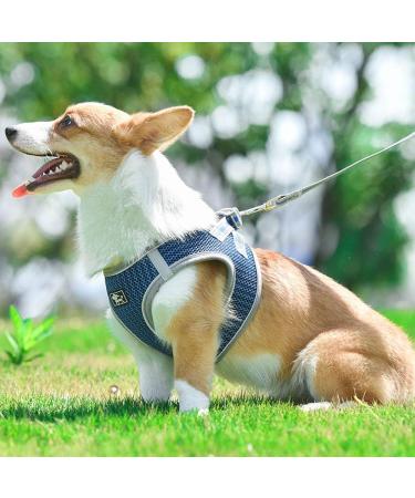Small Dogs No Pull Harness | Reflective Breathable Mesh | Step-In Vest with Leash | Adjustable for Walking & Training | Blue - Buy Online on GoSupps.com