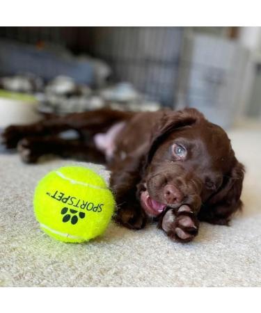 SPORTSPET Tennis Balls for Dogs - Extra Bouncy - Non Toxic - Durable - Long Lasting - Floats (12 Pack) (63.6mm) - Buy Online on GoSupps.com