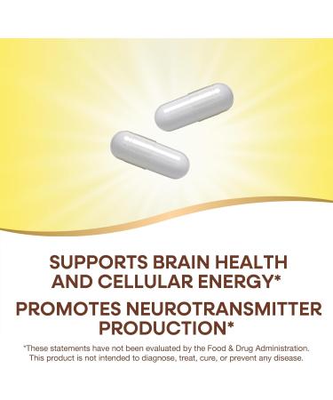 Natures Way Choline & Inositol 1000mg - Brain Health & Cellular Energy - 100 Capsules - Buy Online on GoSupps.com