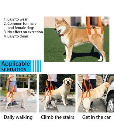 Dog Lifting Harness for Back Legs - Adjustable Support Rehab for Elderly & Injured Dogs (Medium) - Buy Online on GoSupps.com
