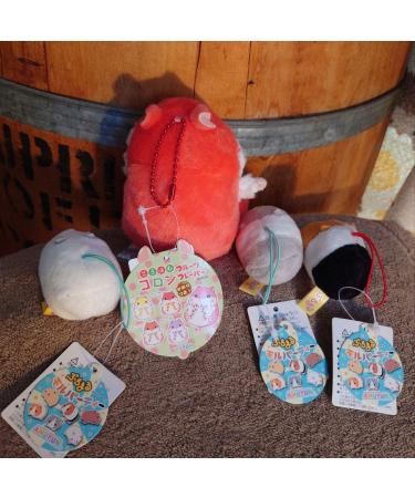 Korohamu Cologne & Puchimaru Mole Party Set - Buy Online on GoSupps.com