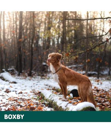 Boxby Superfood Duck-PEA-Cranberry 120g - Buy Online on GoSupps.com