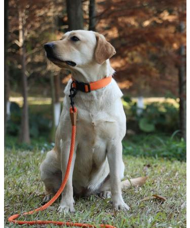 Buy Lynxking Dog Tow Lines - Retractable Leash for All Dog Sizes | Durable Carabiner Hook (0.9cm x 180cm) - Black - Buy Online on GoSupps.com