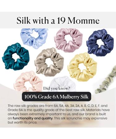 LILYSILK Silk Scrunchies for Women - Colorful Hair Bow Ties (10pc Mix) - Soft & Cute Elastics - Buy Online on GoSupps.com