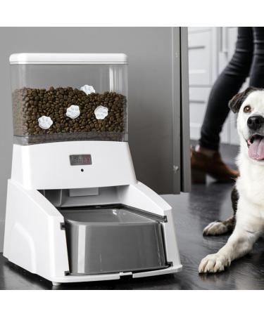 desiccant for cat food food safe desiccant Keep cat and dog food dry and fresh - Portable desiccant bag for dog and cat feeders for dog food - Buy Online on GoSupps.com