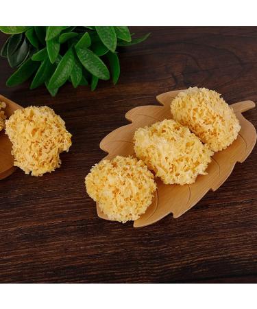 cn herb 250g Silver Fungus Dried Large Flower Snow Ear Dried Bulk - Buy Online on GoSupps.com