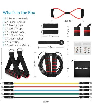 16pcs Resistance Bands Set with Handles - Premium Strength Training & Fitness Kit - Buy Online on GoSupps.com