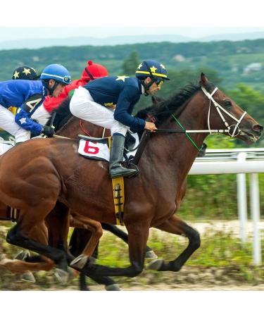 Surfante Horse Whip Crop  Durable Leather Paddle  Equestrianism Crops - Buy Online on GoSupps.com