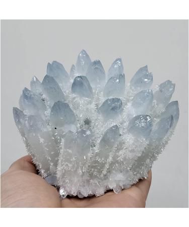 Natural Blue Phantom Quartz Crystal Cluster Rock Stones Reiki Specimen Home Deco Crystal Cluster - Buy Online on GoSupps.com