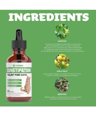 Cat Constipation Relief - May Help to Soften Stool Ease Bowel Movements & Much More - Supports Healthy Digestion - Cat Laxative - Constipation Relief for Cats - 1 fl oz - Chicken Flavor - Buy Online on GoSupps.com