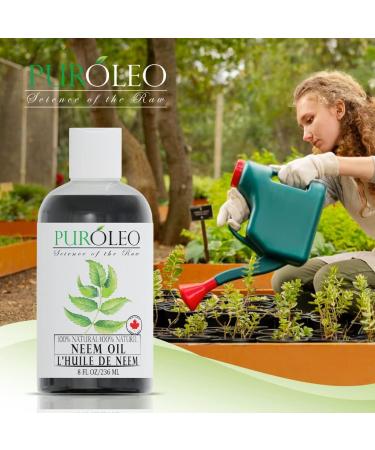 PUROLEO NEEM Oil 8 Fl Oz/236 ML (Packed In Canada) Pure and Natural Neem Oil for Multipurpose Use | Neem Oil extracted from NEEM Plante Chemical free Neem Oil Spray 236 ml (Pack of 1) - Buy Online on GoSupps.com