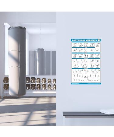 3-Pack Bodyweight Workout & Pilates Exercise Posters - Laminated Training Tables (18x24 | 45.7x61 cm) - Perfect for International Shipping - Buy Online on GoSupps.com