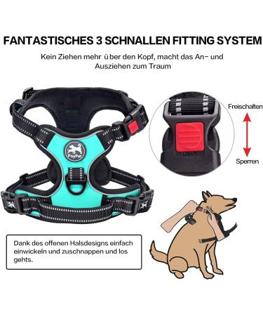POPOT No Pull Dog Harness - Reflective Pet Vest with Control Handle for Daily Training & Walking - Mint Blue XL - Buy Online on GoSupps.com