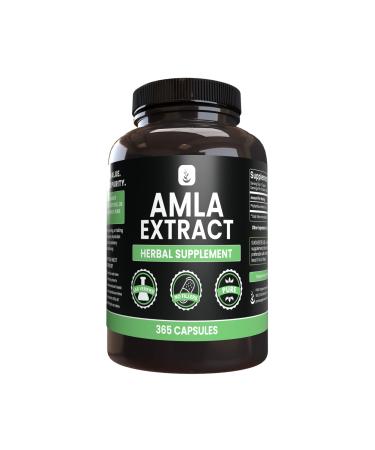 PURE ORIGINAL INGREDIENTS Amla Extract (365 Capsules) No Magnesium Or Rice Fillers Always Pure Lab Verified 365 Count (Pack of 1)