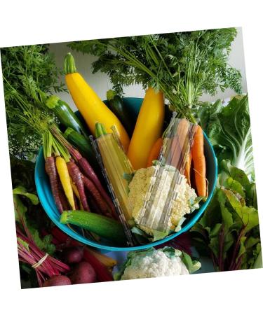 VANZACK 2pcs Vegetable Shaping Mold Fruit Vegetable Molds for Garden Vegetable Forming Mould Melon Cucumber - Buy Online on GoSupps.com