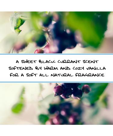 BLUEBYRD 100% Natural Black Currant & Vanilla Soap Bar - Vegan Paraben-Free Moisturizer for Sensitive Skin | Organic Oils & Natural Fragrance - Buy Online on GoSupps.com